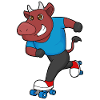 Bull Roller Skating Roller Skates