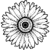 Sunflower_ttt