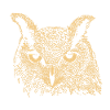 Eule