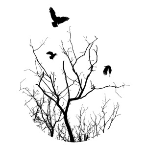 Vogel