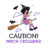 Caution! Witch Crossing!