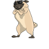 Best Pug Aunt Ever