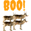 BOO!