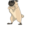 Eat Sleep Pugs Repeat