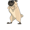 I Am Really Pug Addict