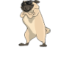 I Just Freaking Like Pugs