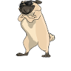 I Only Care About Pugs
