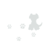 Leben Liebe Hunde