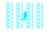 ski