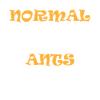 Ants, ant lovers