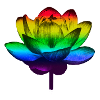 LGBT Flower