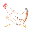 Laying hen