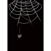 Fils d’araignée3