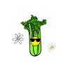 céleri rave