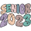 Senior 2023 Retro