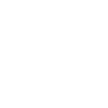 Ab 250 km/h Busfahrer