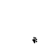 Slightly distracted by dogs