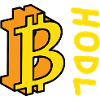 Bitcoin BTC HODL Comics Style