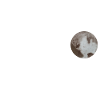 Pluto baby please come back