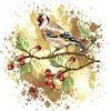 Bunter Vogel
