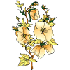 Fleur