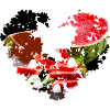 eis,herz,blumenherz,bunt,melone,obst,früchte