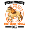 J’aime vraiment Shetland Ponies Shetty