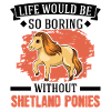 Shetland Pony Gift Shetty