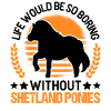 Shetland Pony Gift Shetty