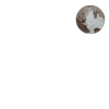 PLUTO YOU WERE PLANET !