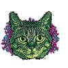 Cat's Head - In graffiti #2
