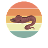 Moray
