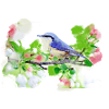 kohlmeise,vogel,blumen,aquarell