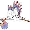 Stork