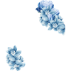 flower ribcage