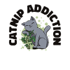 Katzenminze-Sucht Katzenbesitzer Haustier