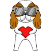 Cavalier King Charles Spaniel mit Sonnenbrille