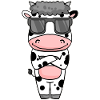 cool cow with sunglasses