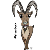 stoanbock
