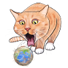 Kitty