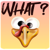 Turkey What