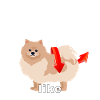 Nobody TWERKS like Pomeranian