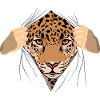 Jaguar Geschenkidee