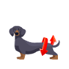 Nobody TWERKS like Dachshund