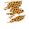 Jaguar Geschenkidee