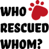 Animal Welfare Dog
