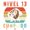 Niveau 13 complete