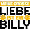 Billy Geschenke lustig