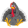 Crazy turkey