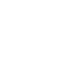 Zebra pattern white